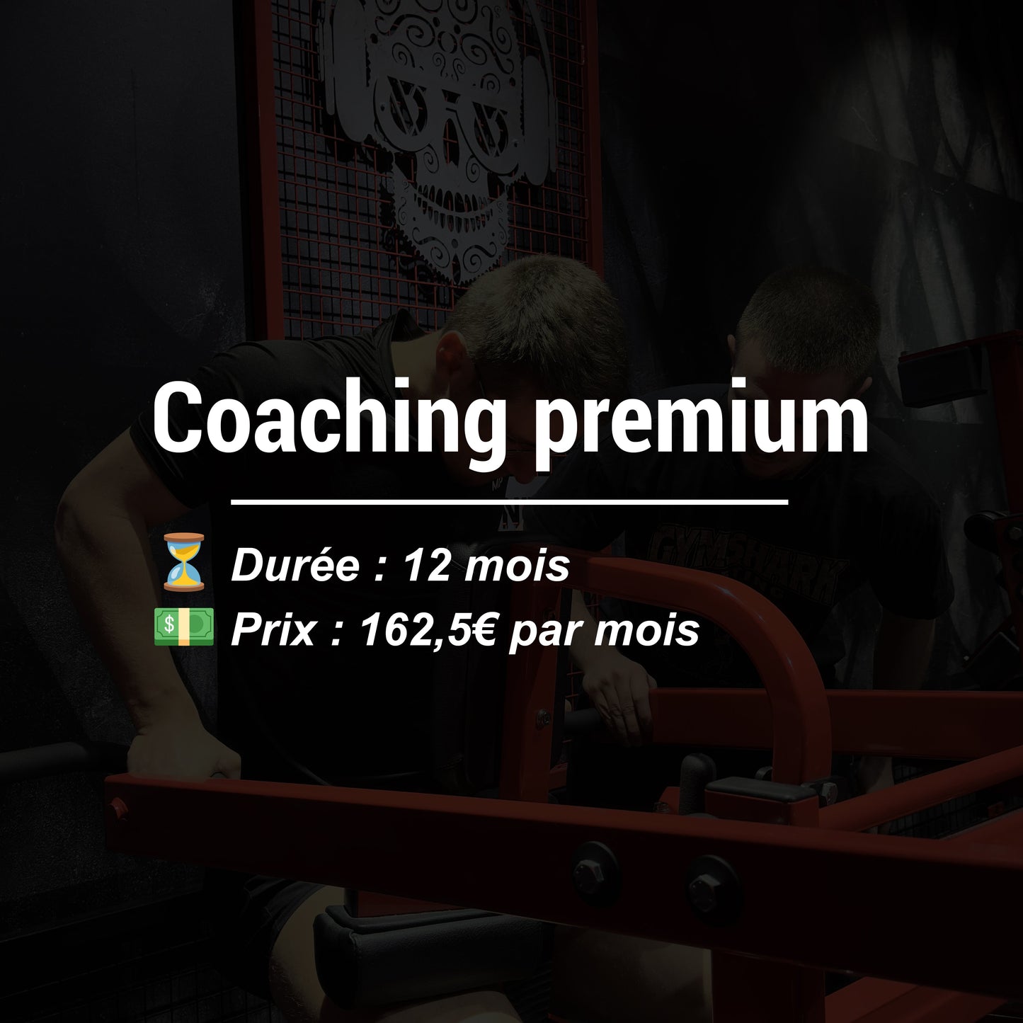 Coaching Premium 1 An