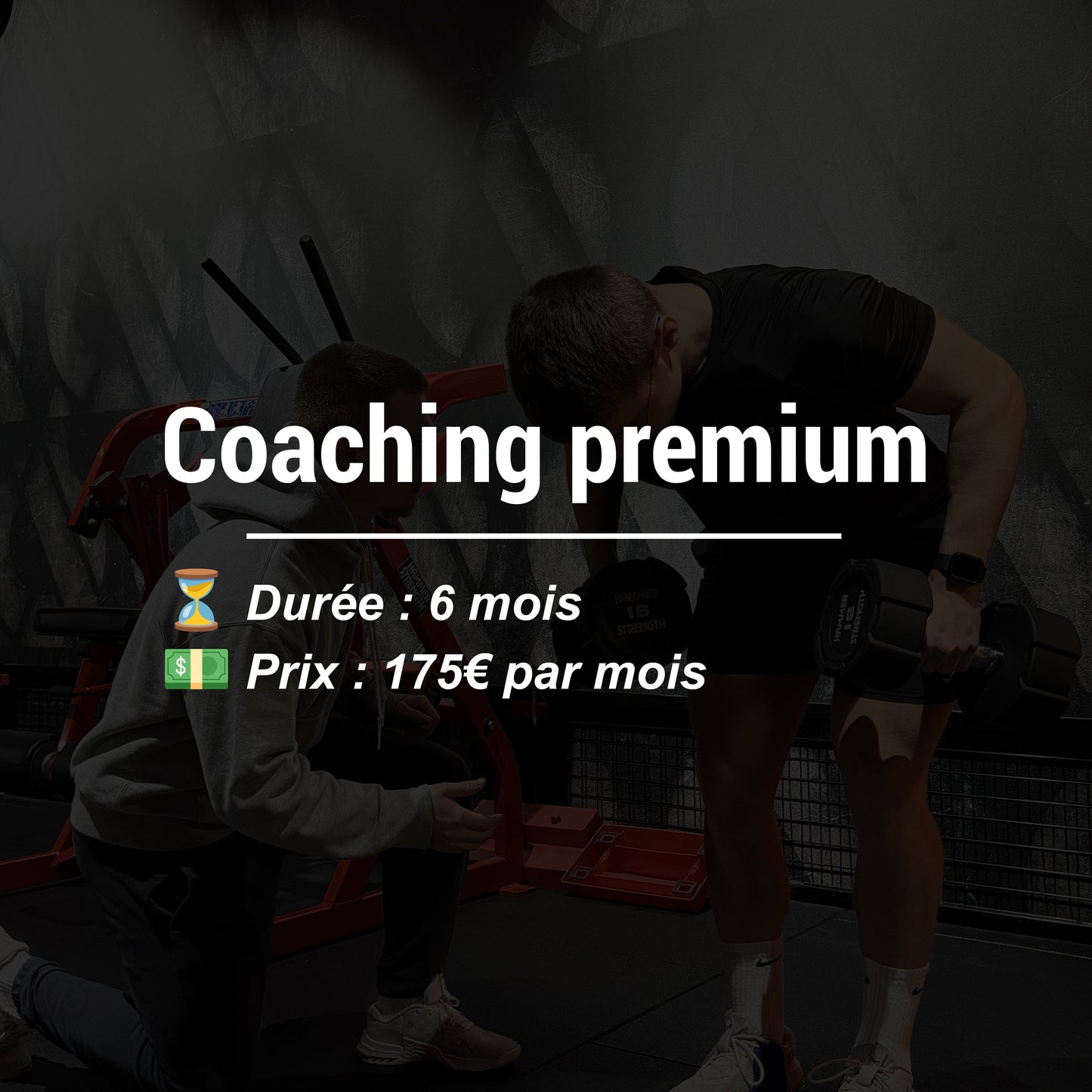 Coaching Premium 6 Mois